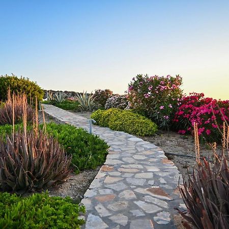 Schinoza Luxury Suites Schoinoussa エクステリア 写真