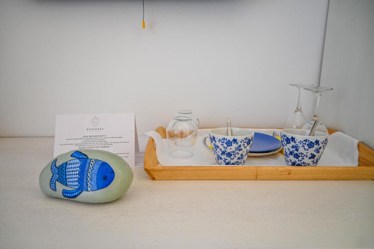 Schinoza Luxury Suites Schoinoussa エクステリア 写真