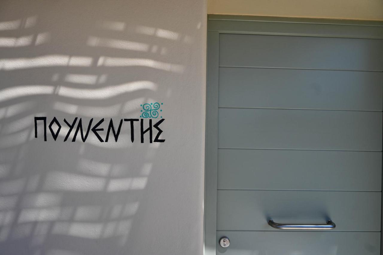 Schinoza Luxury Suites Schoinoussa エクステリア 写真